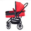 Picture of baby cart-2