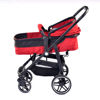 Picture of baby cart-2