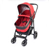 Picture of baby cart-2