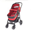 Picture of baby cart-2