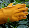 Picture of Well-crafted natural cowhide heat insulation and high temperature resistance plus cotton-filled safety gloves