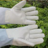 Picture of Fine workmanship cowhide frozen processing cold-proof warm thickened protective safety gloves