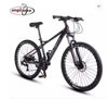 Picture of China NEWSPEED factory OEM cheap bicycle bike mountain /bicycle bike for sale